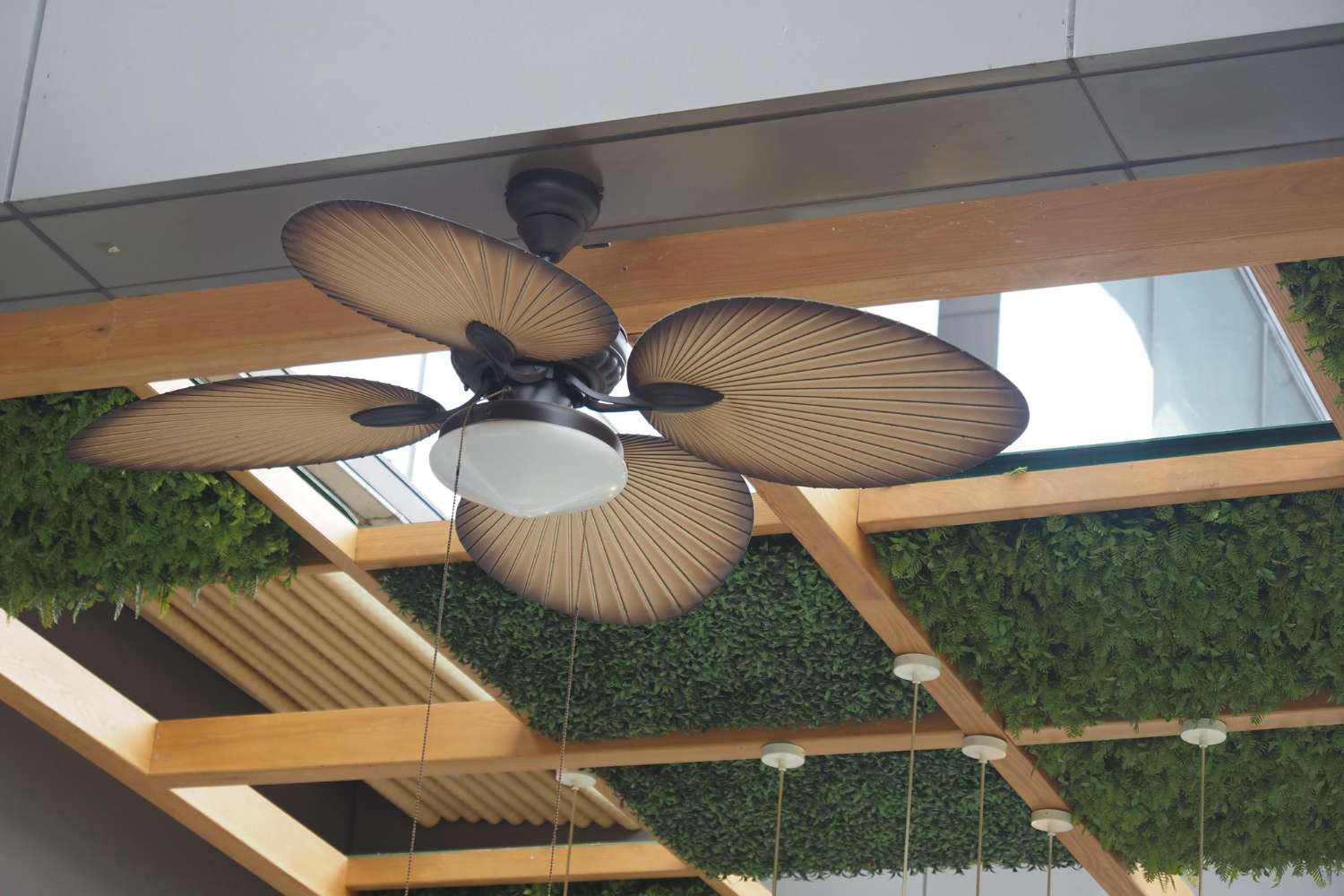 enfriar una terraza cuando hace mucho calor