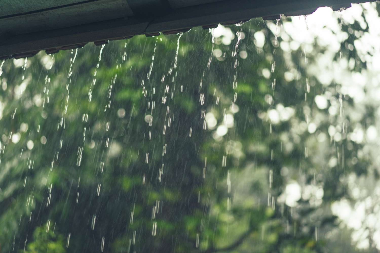 toldos impermeables para lluvia